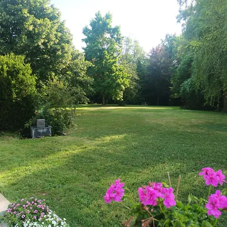 Alojamento de Acomodação e Pequeno-almoço La Buissonniere Cassel